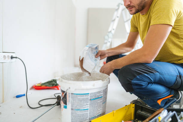 Best Black Mold Removal  in USA